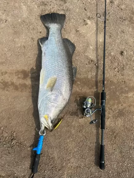 Trải Nghiệm Ẩm Thực Sinh Thái Mỹ Thanh Vân – Hòa Mình Với Thiên Nhiên, Thư Giãn Cùng Gia Đình Và Bạn Bè