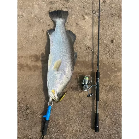 Trải Nghiệm Ẩm Thực Sinh Thái Mỹ Thanh Vân – Hòa Mình Với Thiên Nhiên, Thư Giãn Cùng Gia Đình Và Bạn Bè