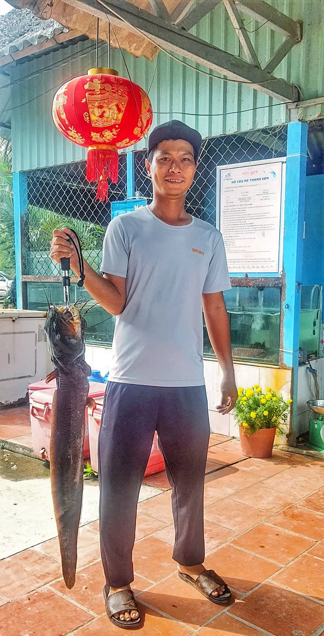 bằng cách di chuyển một vật chỉ thị