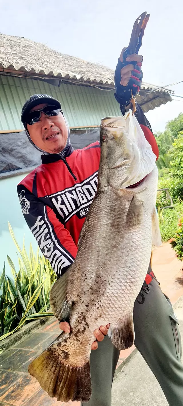 Ẩm Thực Sinh Thái Mỹ Thanh Vân 