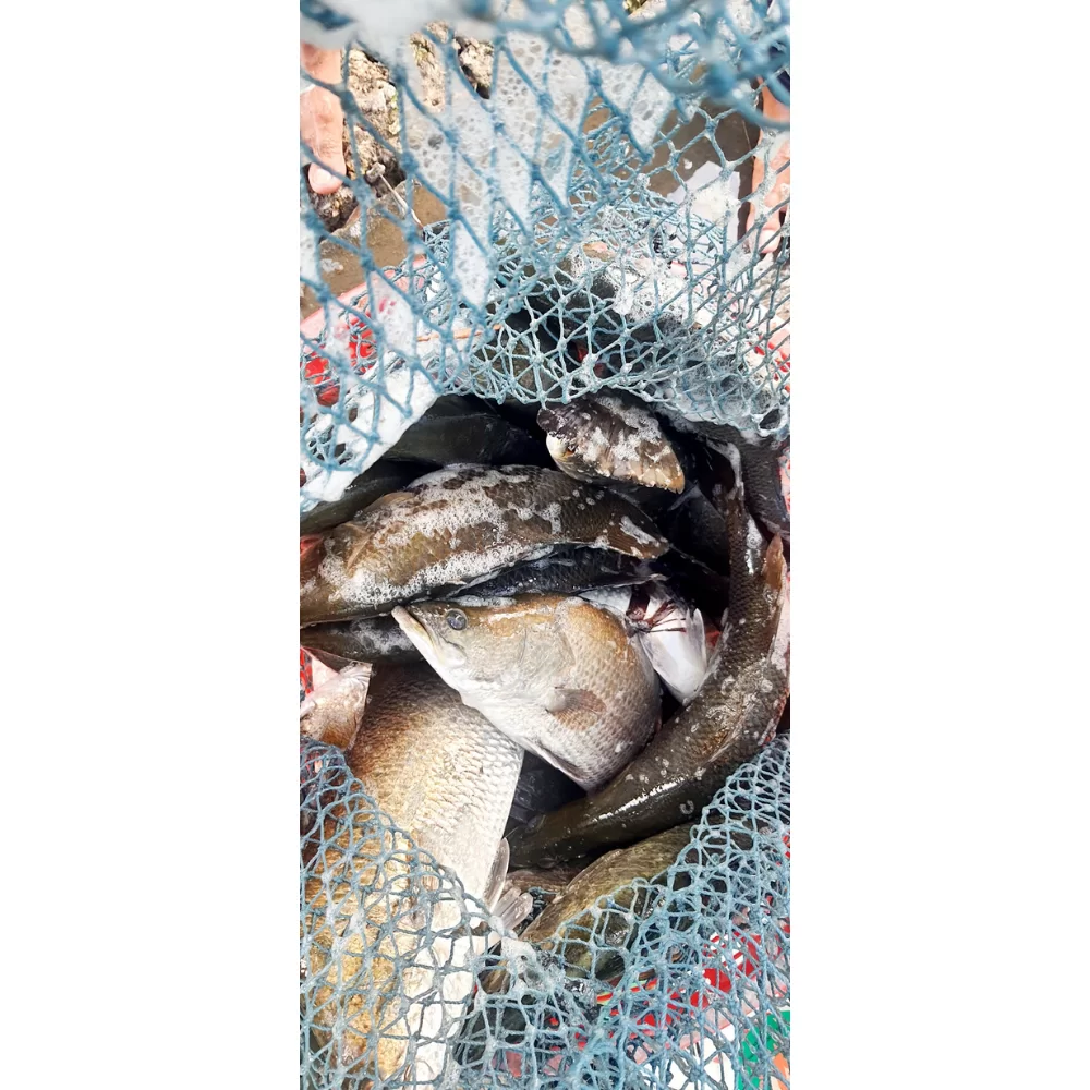 Ẩm Thực Sinh Thái Mỹ Thanh Vân 