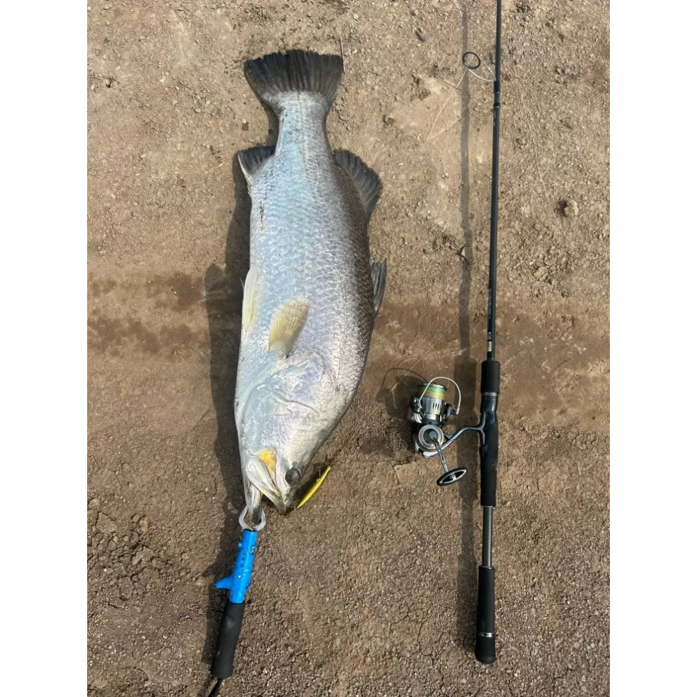 Ẩm Thực Sinh Thái Mỹ Thanh Vân 